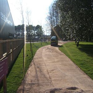 2/4/2017 view of new Elephant House construction
