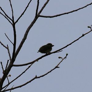 ID? - Baan Maka Chalets