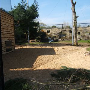 9/4/2017 View of work on the new European Bird Aviary