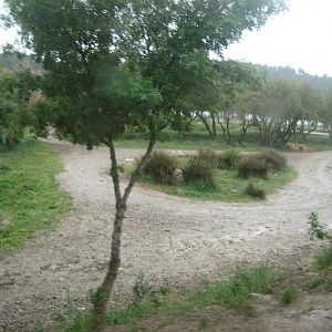 Reserve Africaine de Sigean - The lion park