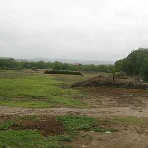 Reserve Africaine de Sigean - The savannah (seventh park)