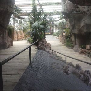 Cave leading to the hippo pool and to the amphibian exhibits