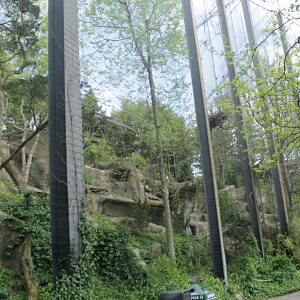 Apr. 2017 - Eagle Eyrie - Steller's Sea Eagle Exhibit