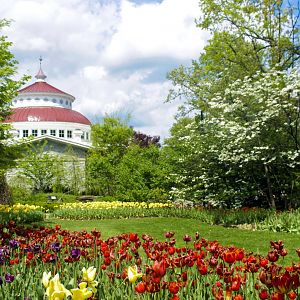 Apr. 2017 - Reptile House