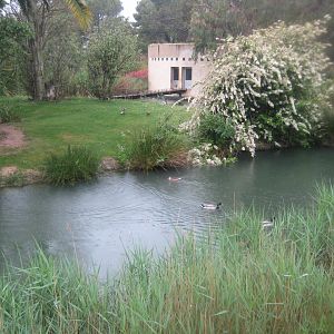 Reserve Africaine de Sigean - Squirrel monkey island