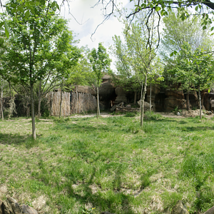 Apr. 2017 - Rhino Reserve - Okapi/Yellow-backed Duiker Exhibit