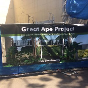 Chimp exhibit expansion