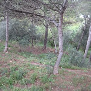 Reserve Africaine de Sigean - Cheetah exhibit