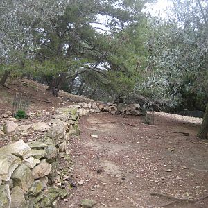 Reserve Africaine de Sigean - Wallaby exhibit