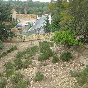 Reserve Africaine de Sigean - Wallaby exhibit