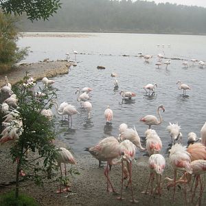 Reserve Africaine de Sigean - The saline lake