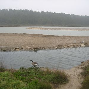 Reserve Africaine de Sigean - The saline lake