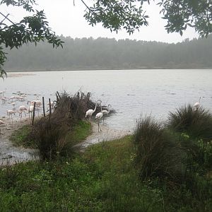 Reserve Africaine de Sigean - The saline lake