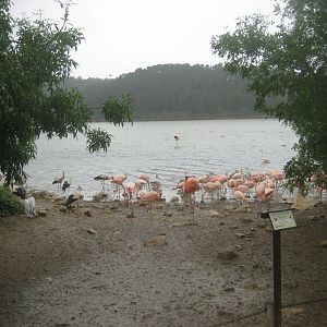 Reserve Africaine de Sigean - The saline lake