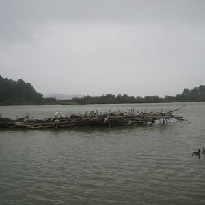 Reserve Africaine de Sigean - The saline lake