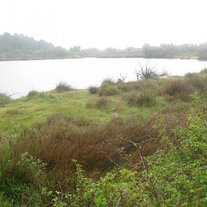 Reserve Africaine de Sigean - The saline lake