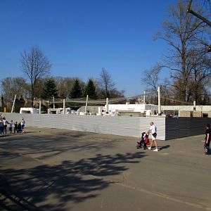 Snow Leopard new enclosure - under construction