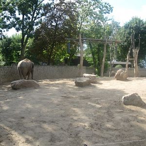 August 2013 - Elephants enclosure