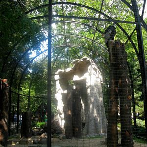 August 2013 - Andean Condor aviary