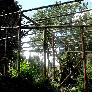 August 2013 - Bearded Vulture aviary