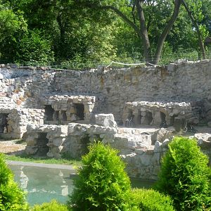 August 2013 - Jackass Penguins enclosure