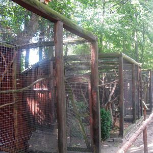 August 2013 - Bird aviaries
