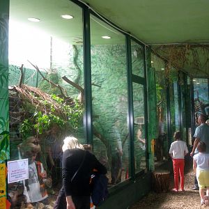 August 2013 - Indoor Monkey House