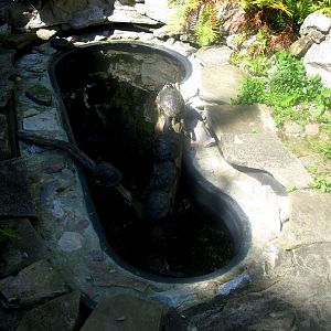 August 2013 - Turtle Pond