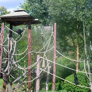 August 2013 - Agile Gibbon platform