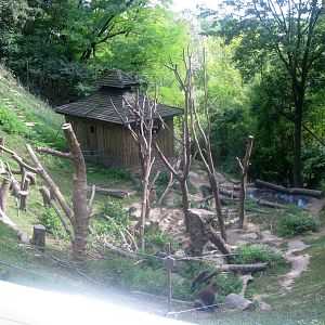 August 2013 - Japanese Macaque enclosure