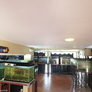 Aquarium Area Under Building
