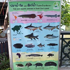 Sign About Fish in the Lake/Pond