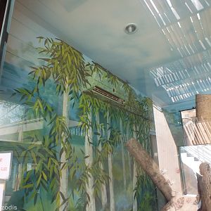 Painted Air Conditioning in the Koala House