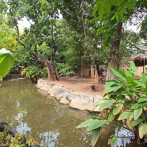 Ungulate Enclosure Area