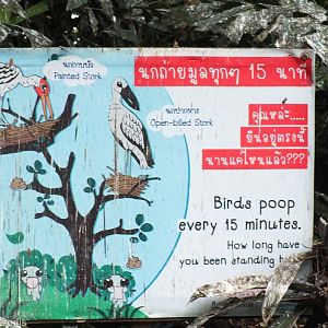 Sign Below Wild Stork Colony