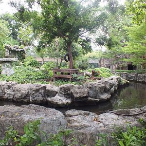 Asiatic Black Bear Enclosure