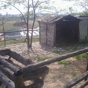 Prilep petting garden - Liama enclosure