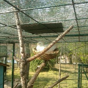 Prilep petting garden