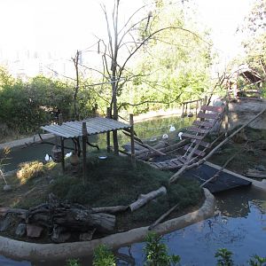 lemur island and waterfowl pond