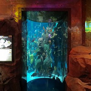 Silverton Casino Las Vegas - Mermaid Aquarium