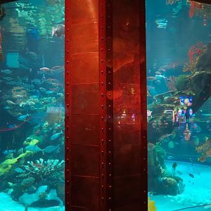 Silverton Casino Las Vegas - Mermaid Aquarium