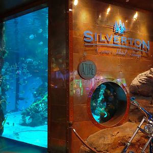 Silverton Casino Las Vegas - Mermaid Aquarium
