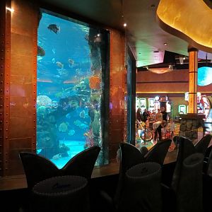 Silverton Casino Las Vegas - Mermaid Lounge