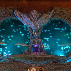 Silverton Casino Las Vegas - Mermaid Lounge - 2 Moon Jellies Tanks