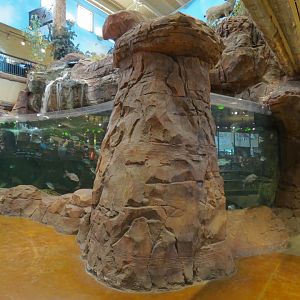 Bass Pro Shops Las Vegas - Large Open-top Tank