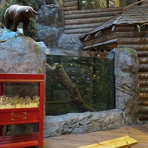 Bass Pro Shops Las Vegas - Small Open-top Tank