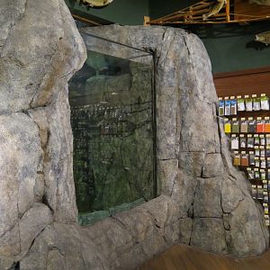 Bass Pro Shops Las Vegas - Small Open-top Tank