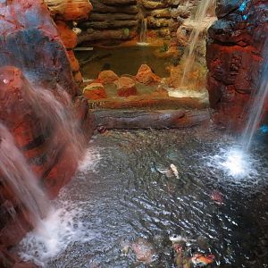 Bass Pro Shops Las Vegas - Koi Pond (Foreground), Native Pond
