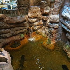 Bass Pro Shops Las Vegas - Native Pond