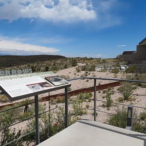 Red Rock Canyon - Desert Tortoise Habitats